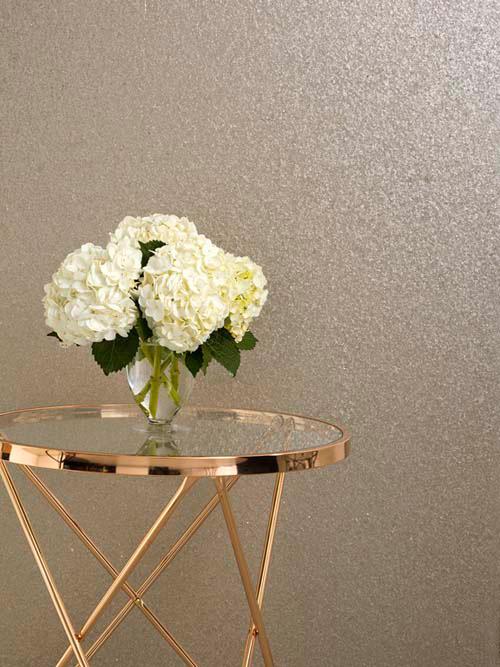 Nautilus Wallpaper | Innovations USA