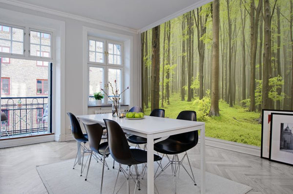 Deciduous Forest | Rebel Walls