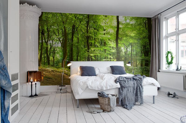 Forest | Rebel Walls