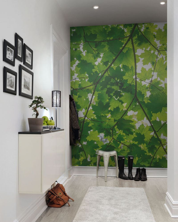 Maple Leaves | Rebel Walls