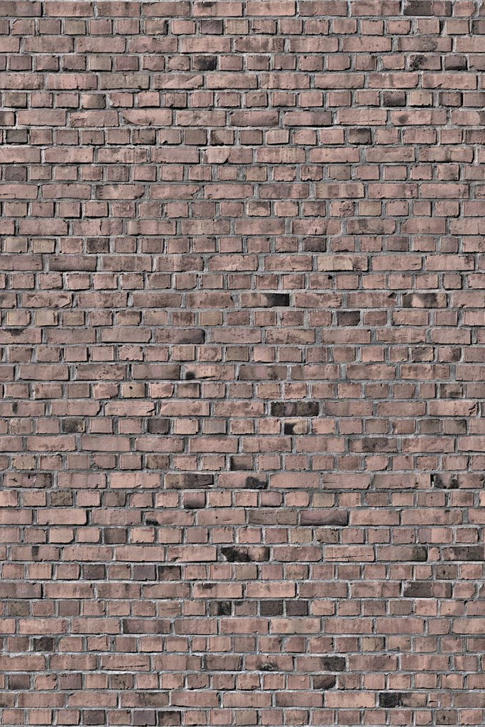 Exclusively at Designer Wallcoverings and Fabrics