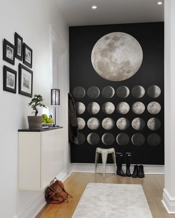 Moon | Rebel Walls