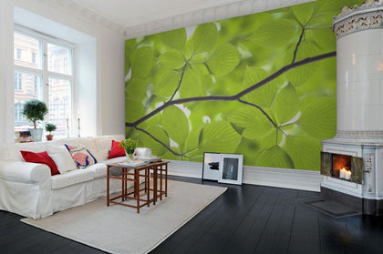 Leaves | Rebel Walls