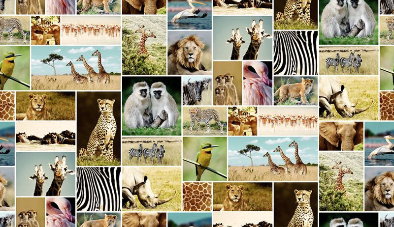 Exclusively at Designer Wallcoverings and Fabrics