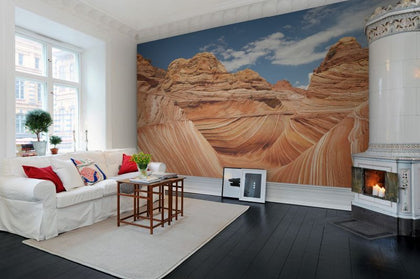 Arizona | Rebel Walls