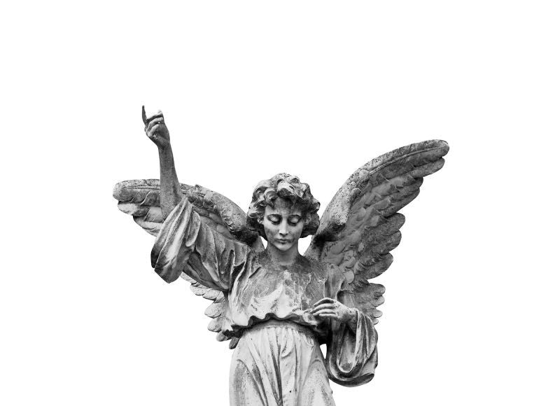 Exclusively at Designer Wallcoverings and Fabrics