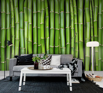 Bamboo | Rebel Walls