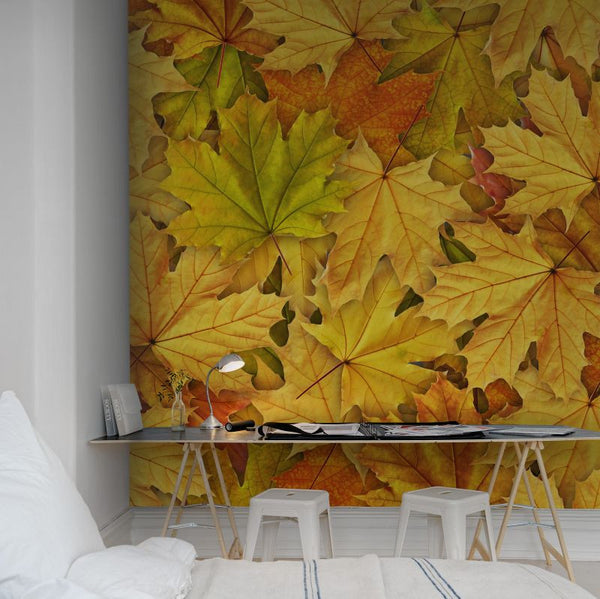 Autumn Leaves | Rebel Walls