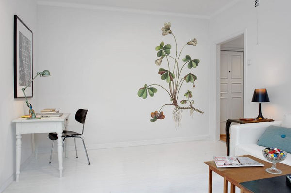 Oxalis | Rebel Walls