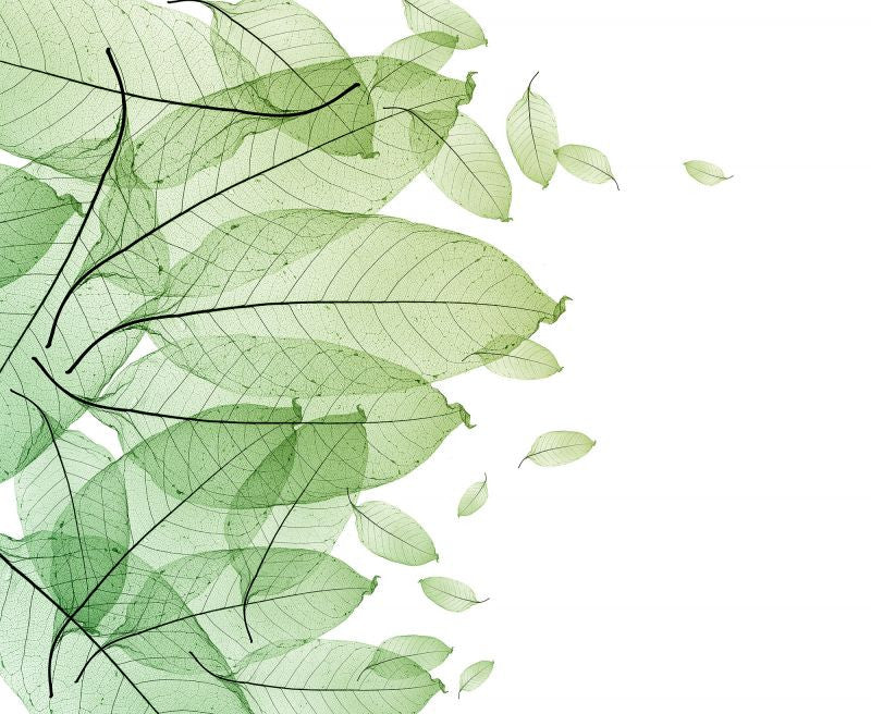 Exclusively at Designer Wallcoverings and Fabrics