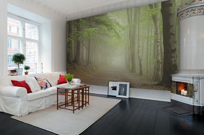Forest Path | Rebel Walls