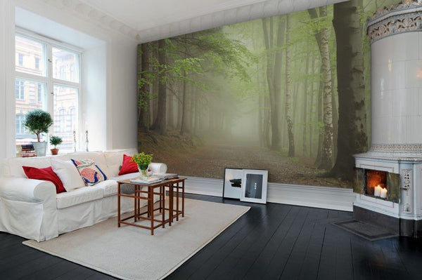 Forest Path | Rebel Walls