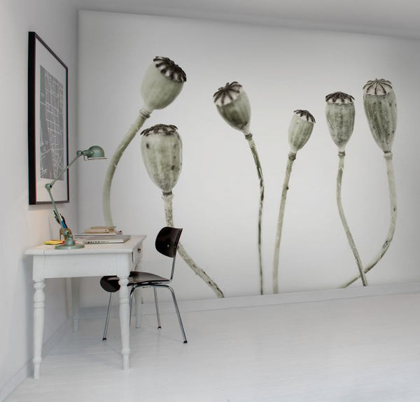 Simple Seedpod | Rebel Walls