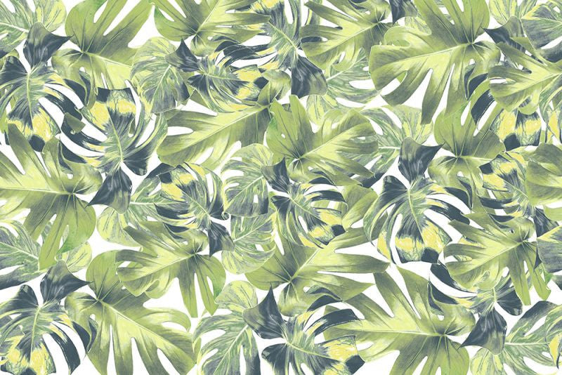 Exclusively at Designer Wallcoverings and Fabrics