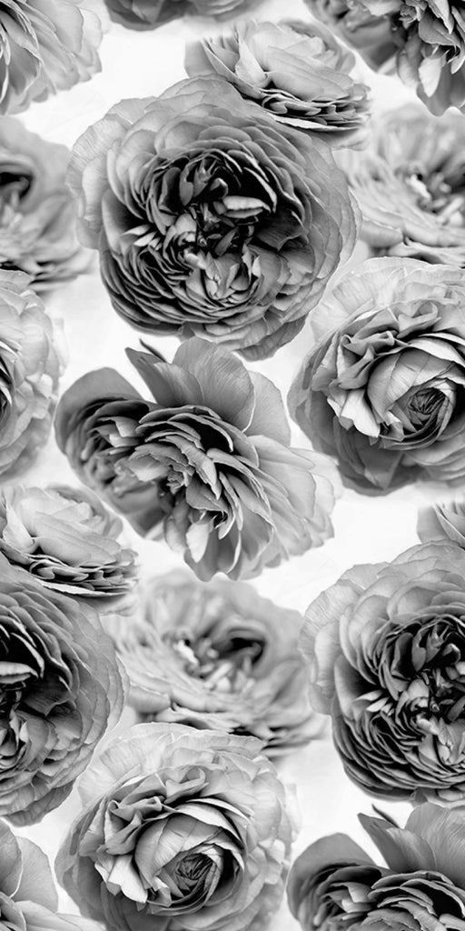 Exclusively at Designer Wallcoverings and Fabrics