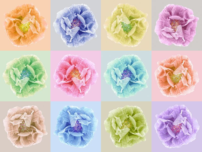 Exclusively at Designer Wallcoverings and Fabrics