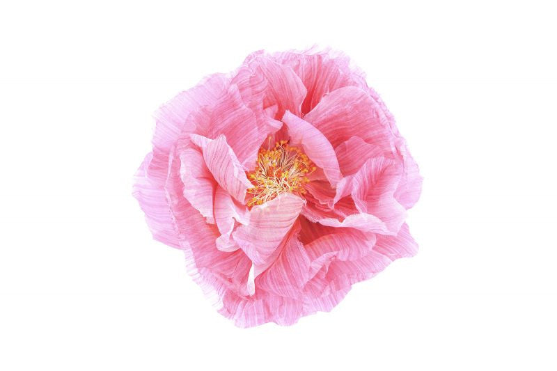 Exclusively at Designer Wallcoverings and Fabrics