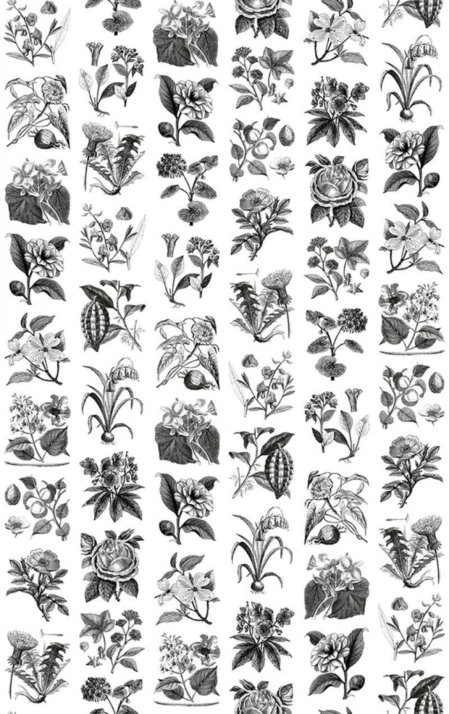 Exclusively at Designer Wallcoverings and Fabrics