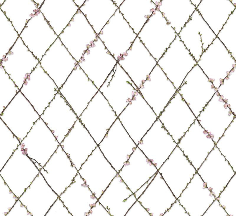 Exclusively at Designer Wallcoverings and Fabrics