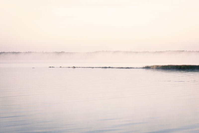 Exclusively at Designer Wallcoverings and Fabrics