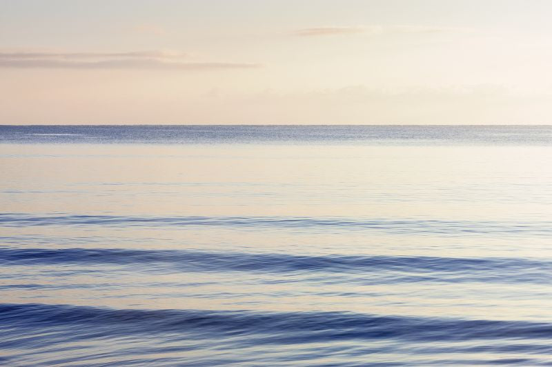 Exclusively at Designer Wallcoverings and Fabrics