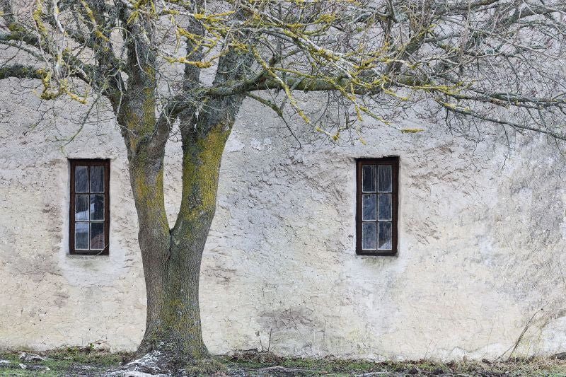 Exclusively at Designer Wallcoverings and Fabrics