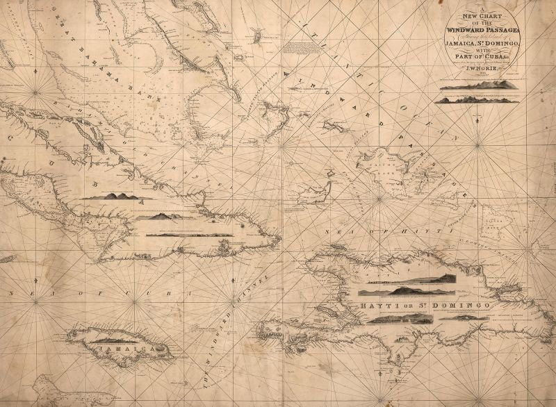 Exclusively at Designer Wallcoverings and Fabrics