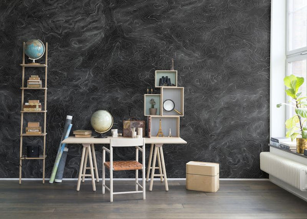 Elevation Lines, black | Rebel Walls