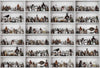 Exclusively at Designer Wallcoverings and Fabrics