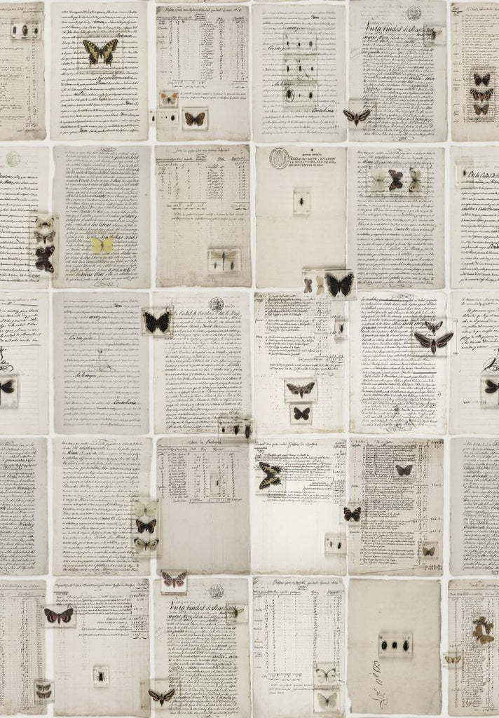 Exclusively at Designer Wallcoverings and Fabrics