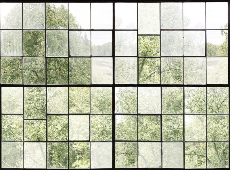 Exclusively at Designer Wallcoverings and Fabrics