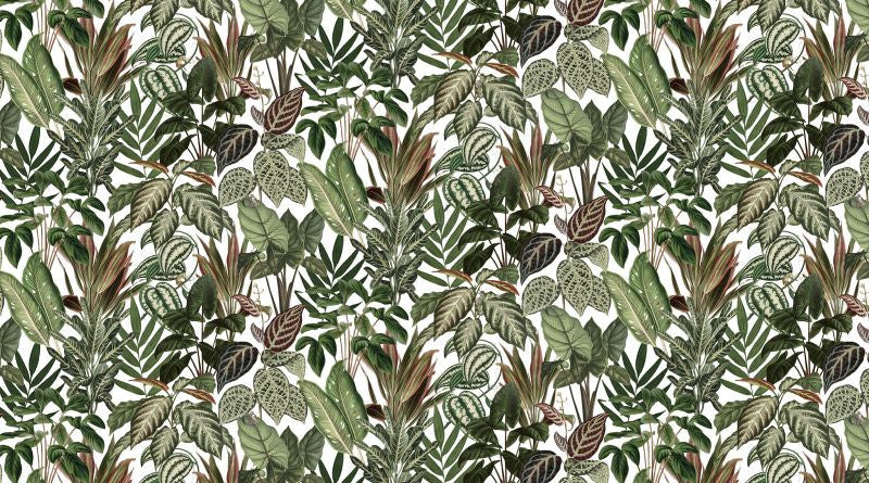 Exclusively at Designer Wallcoverings and Fabrics