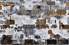 Exclusively at Designer Wallcoverings and Fabrics