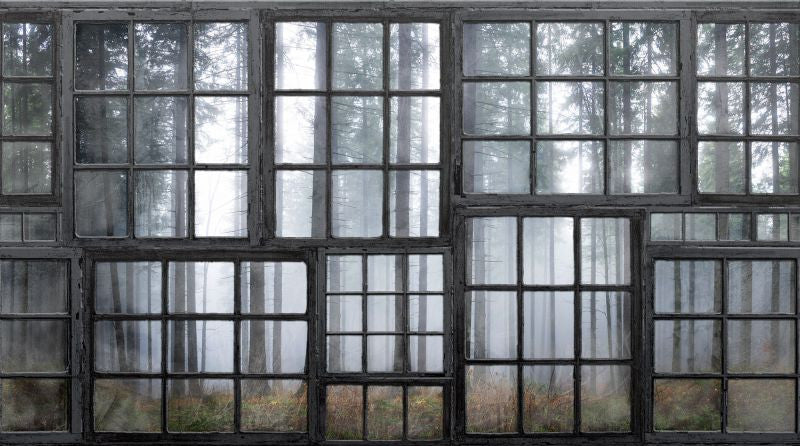 Exclusively at Designer Wallcoverings and Fabrics