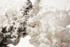 Exclusively at Designer Wallcoverings and Fabrics