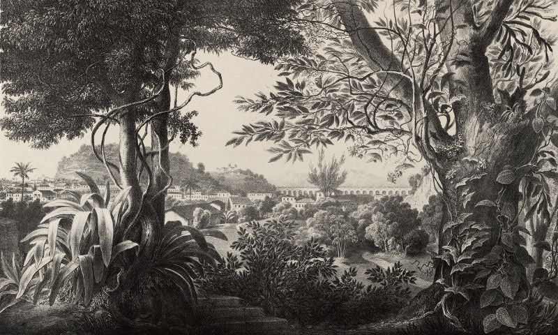 Exclusively at Designer Wallcoverings and Fabrics