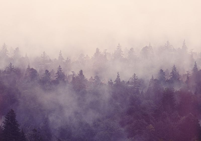 Exclusively at Designer Wallcoverings and Fabrics