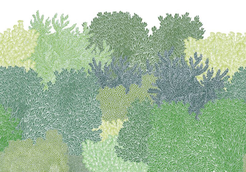 Exclusively at Designer Wallcoverings and Fabrics