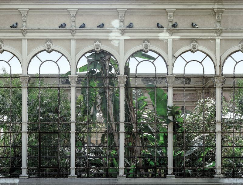 Exclusively at Designer Wallcoverings and Fabrics