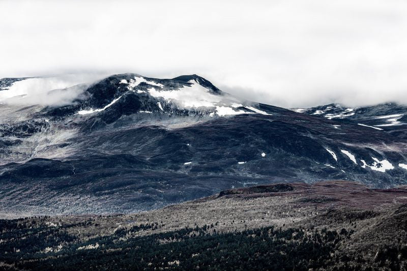 Exclusively at Designer Wallcoverings and Fabrics