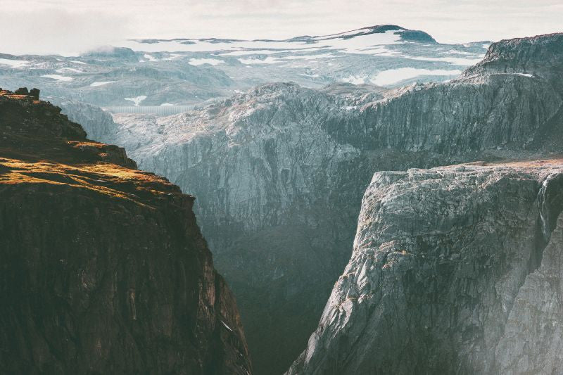 Exclusively at Designer Wallcoverings and Fabrics