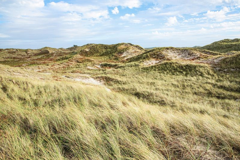 Exclusively at Designer Wallcoverings and Fabrics