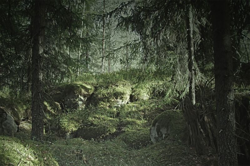 Exclusively at Designer Wallcoverings and Fabrics