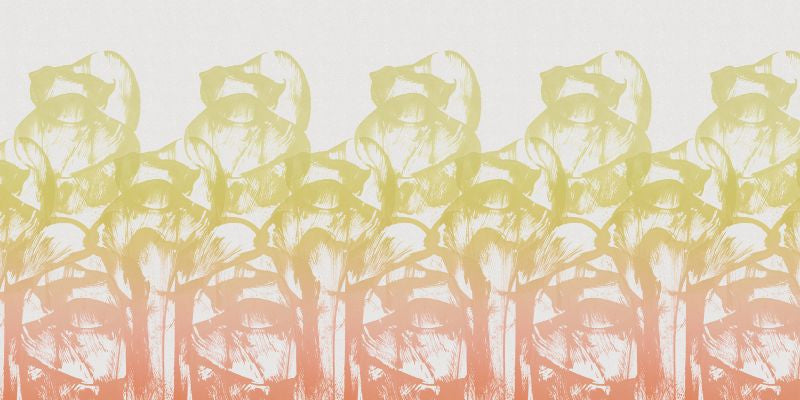 Exclusively at Designer Wallcoverings and Fabrics