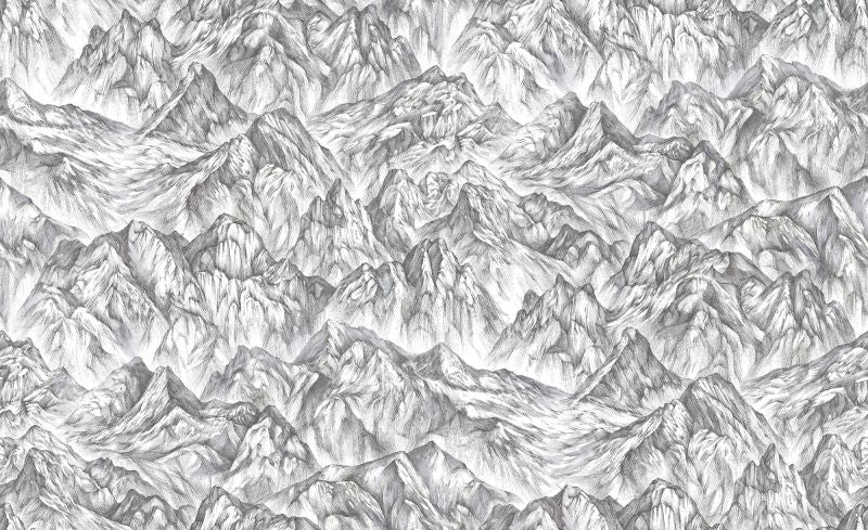 Exclusively at Designer Wallcoverings and Fabrics