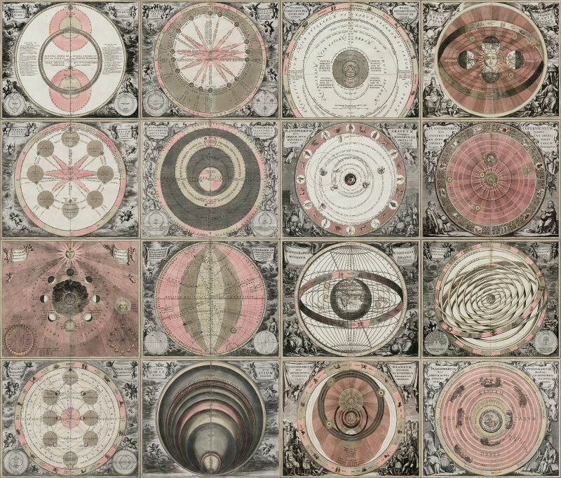 Exclusively at Designer Wallcoverings and Fabrics