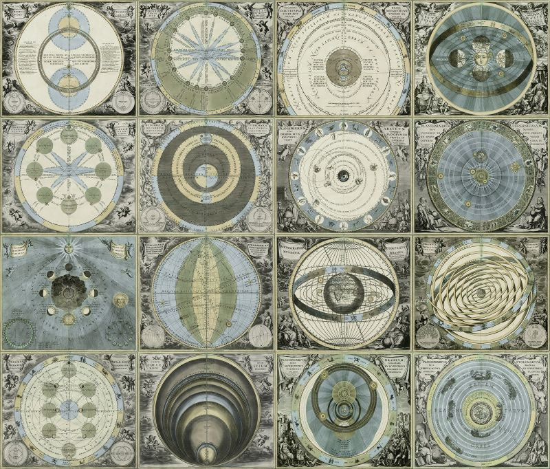 Exclusively at Designer Wallcoverings and Fabrics