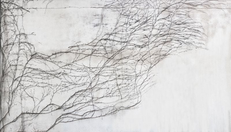 Exclusively at Designer Wallcoverings and Fabrics