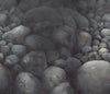 Exclusively at Designer Wallcoverings and Fabrics