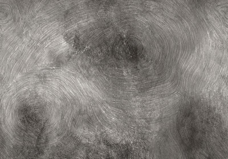 Exclusively at Designer Wallcoverings and Fabrics